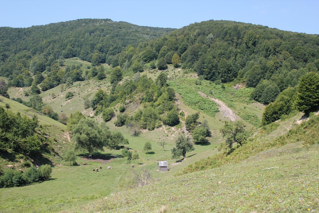 Svit Sontsya Tur'ya Polyana Extérieur photo